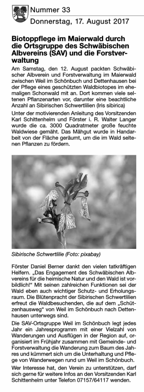 mitt-blatt-2017-kw-33_page_5